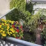 Superapartments In *