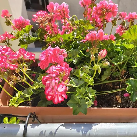 Superapartments In 아파트