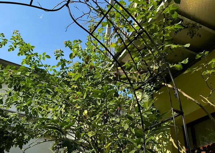 Superapartments In Lägenhet Potsdam